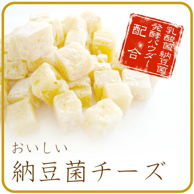ドクターズチョイス】健康補助食品 納豆菌チーズ キューブ 100g