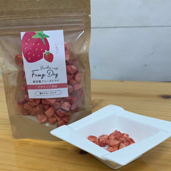 ドクターズチョイス】 納豆菌 フリーズドライ いちご 8g | ペット
